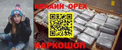 винт Сланцы