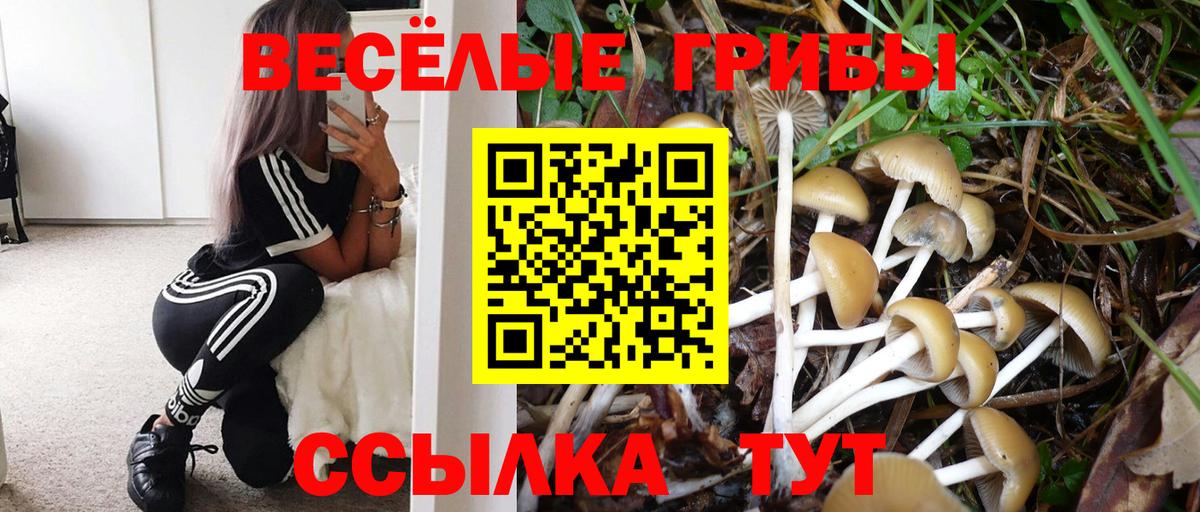 Галлюциногенные грибы мицелий Симферополь